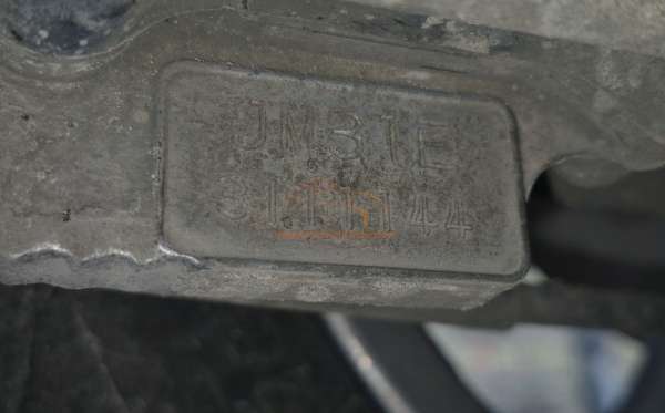 HONDA SCOOPY CW