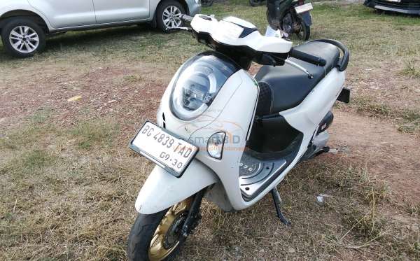 HONDA NEW SCOOPY FASHION