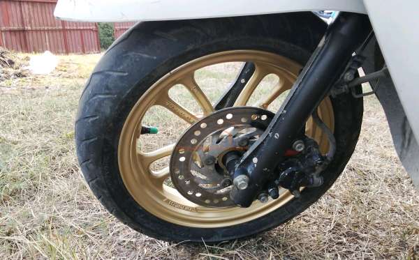 HONDA NEW SCOOPY FASHION