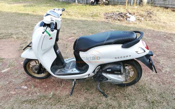 HONDA NEW SCOOPY FASHION