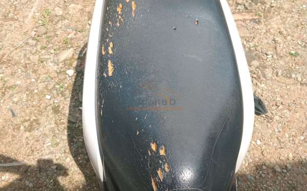 HONDA SCOOPY STYLISH