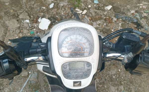 HONDA SCOOPY STYLISH