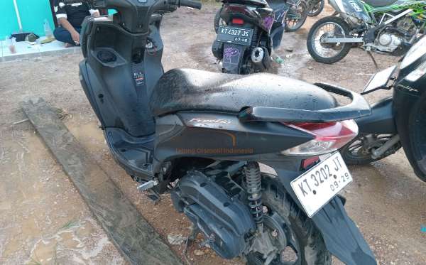 YAMAHA FREEGO