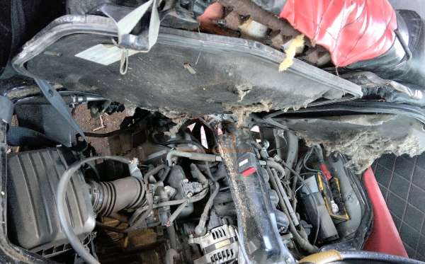 DAIHATSU GRAN MAX
