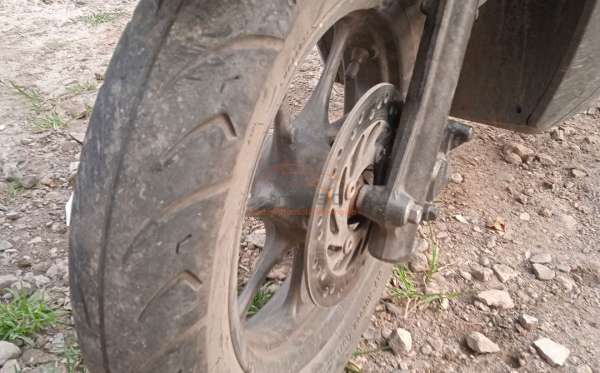 HONDA GENIO