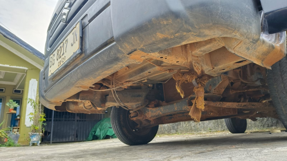 SUZUKI CARRY  PU