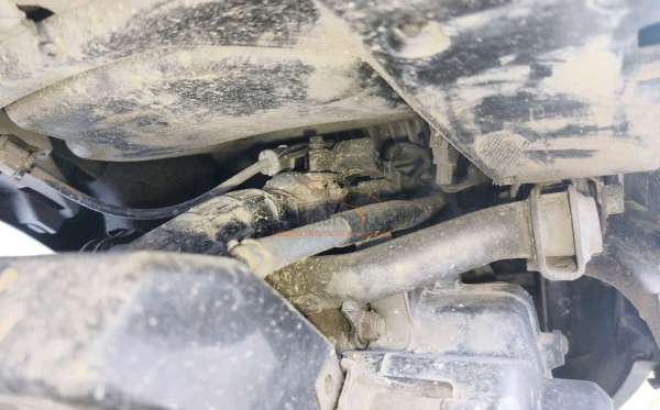 HONDA GENIO