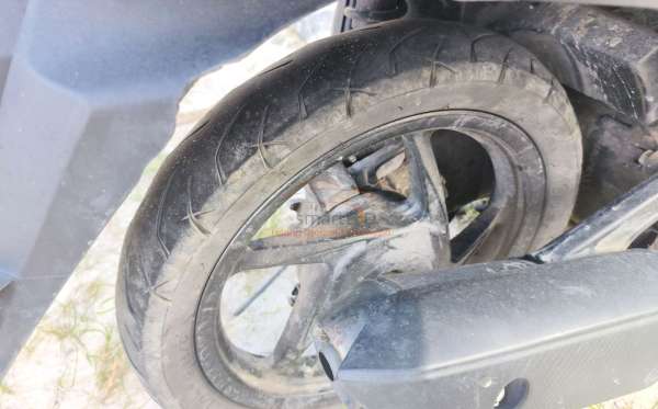 HONDA GENIO