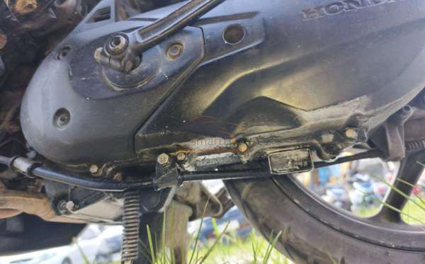 HONDA GENIO