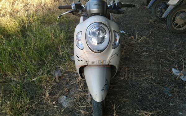 HONDA SCOOPY