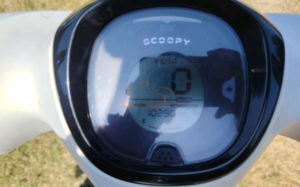 HONDA  SCOOPY