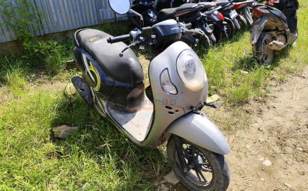 HONDA  SCOOPY