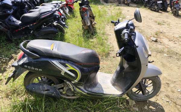 HONDA  SCOOPY