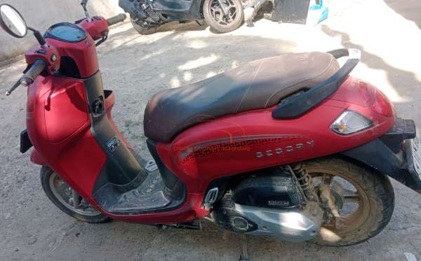 HONDA SCOOPY STYLISH