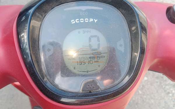 HONDA SCOOPY STYLISH