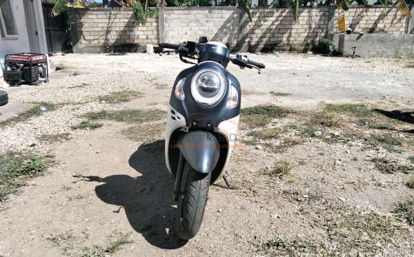 HONDA  SCOOPY
