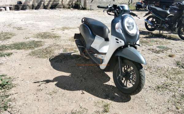 HONDA  SCOOPY