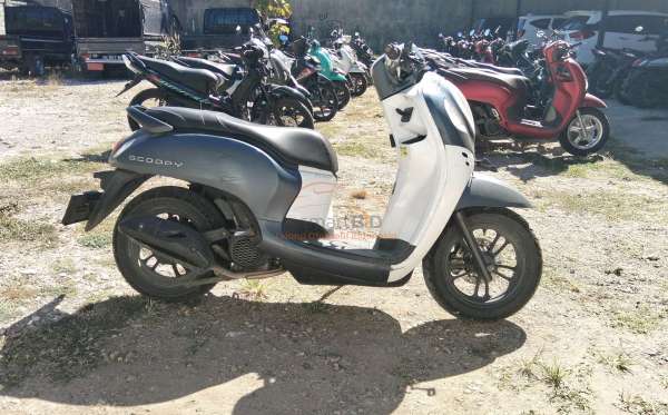 HONDA  SCOOPY