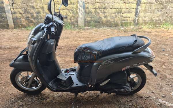 HONDA SCOOPY eSP STYLISH