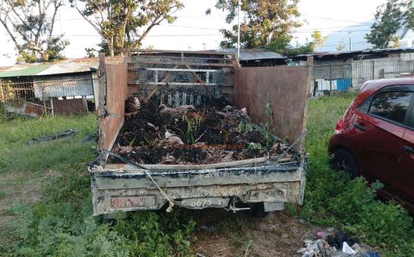 SUZUKI  CARRY  PU