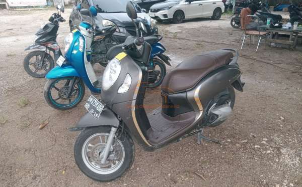 HONDA SCOOPY CW