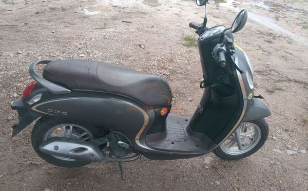 HONDA SCOOPY CW