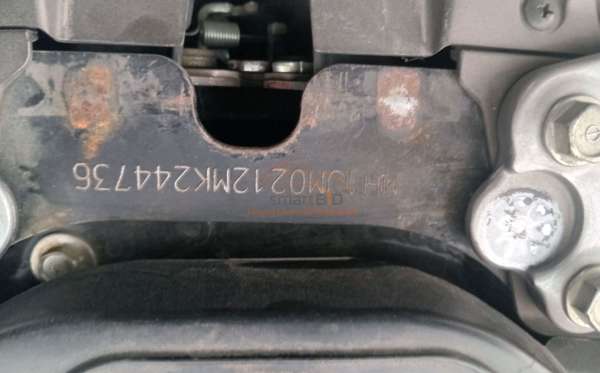 HONDA SCOOPY CW