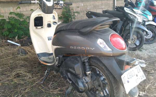 HONDA  SCOOPY
