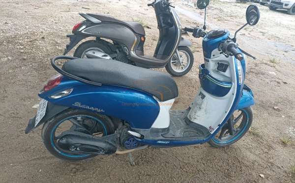 HONDA SCOOPY CW