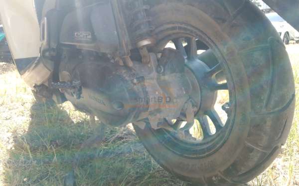 HONDA  SCOOPY