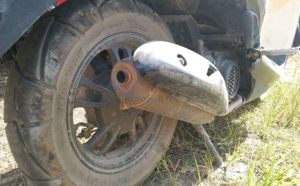 HONDA  SCOOPY