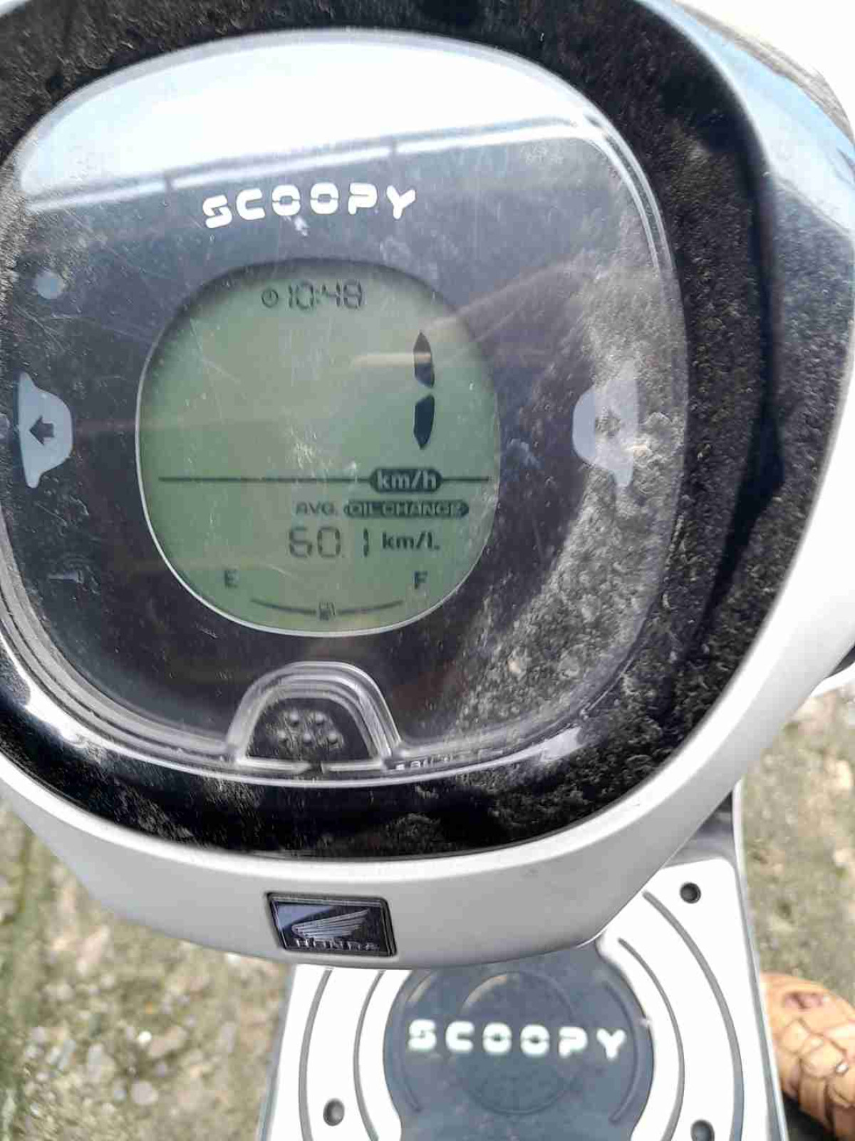 HONDA  SCOOPY