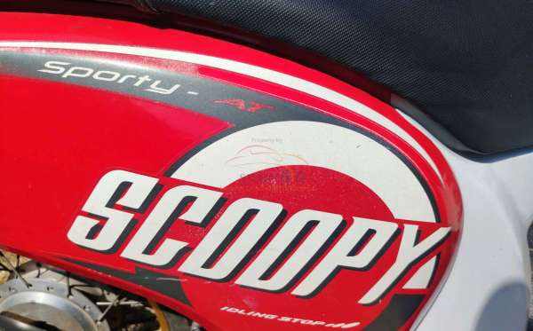 HONDA  SCOOPY
