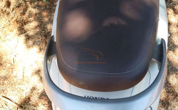 HONDA SCOOPY