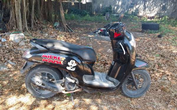 HONDA SCOOPY