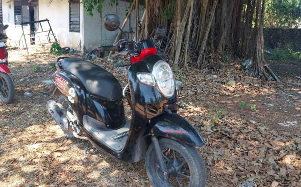 HONDA SCOOPY