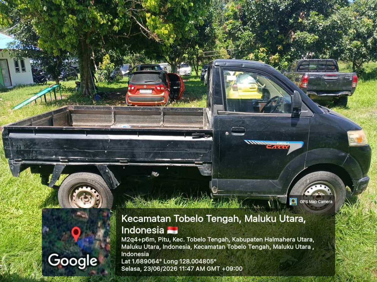 SUZUKI MEGA CARRY PU