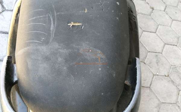 HONDA  SCOOPY