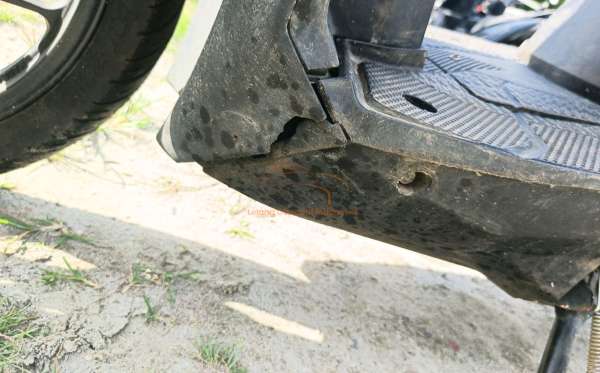HONDA BEAT