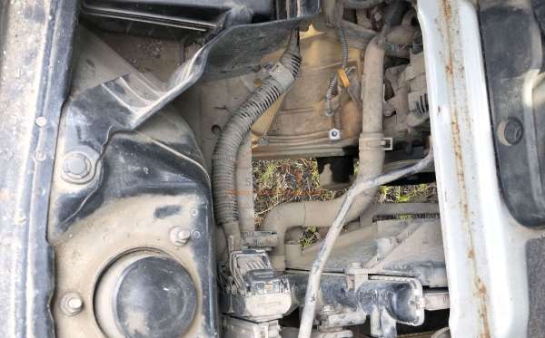 SUZUKI  CARRY  PU