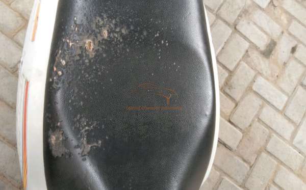 HONDA SCOOPY PRESTIGE
