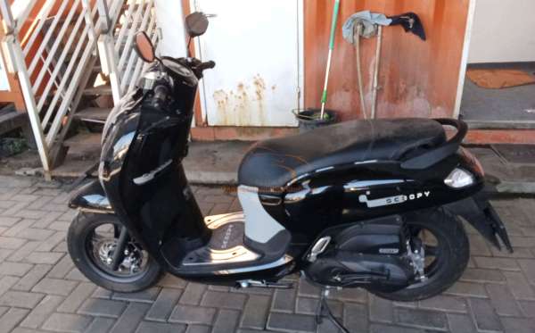 HONDA SCOOPY