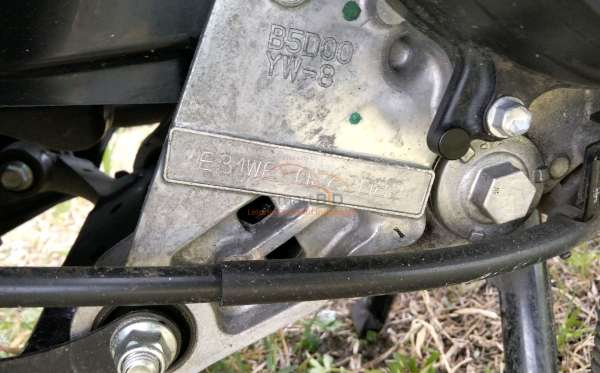 YAMAHA FREEGO