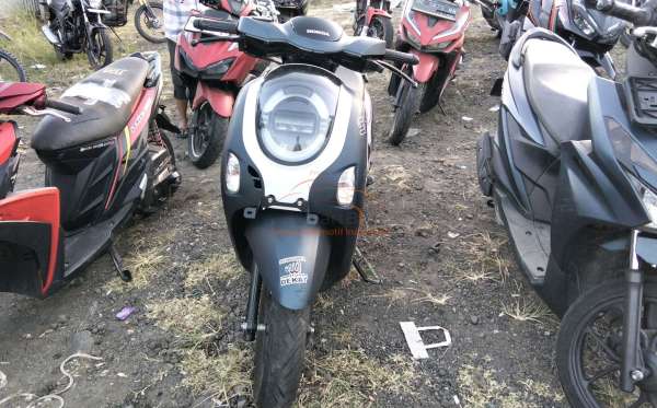 HONDA NEW SCOOPY FASHION