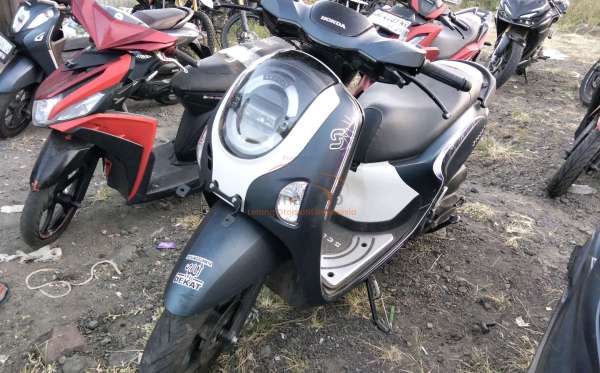 HONDA NEW SCOOPY FASHION