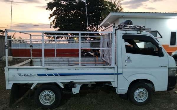 SUZUKI  CARRY  CL PICK UP