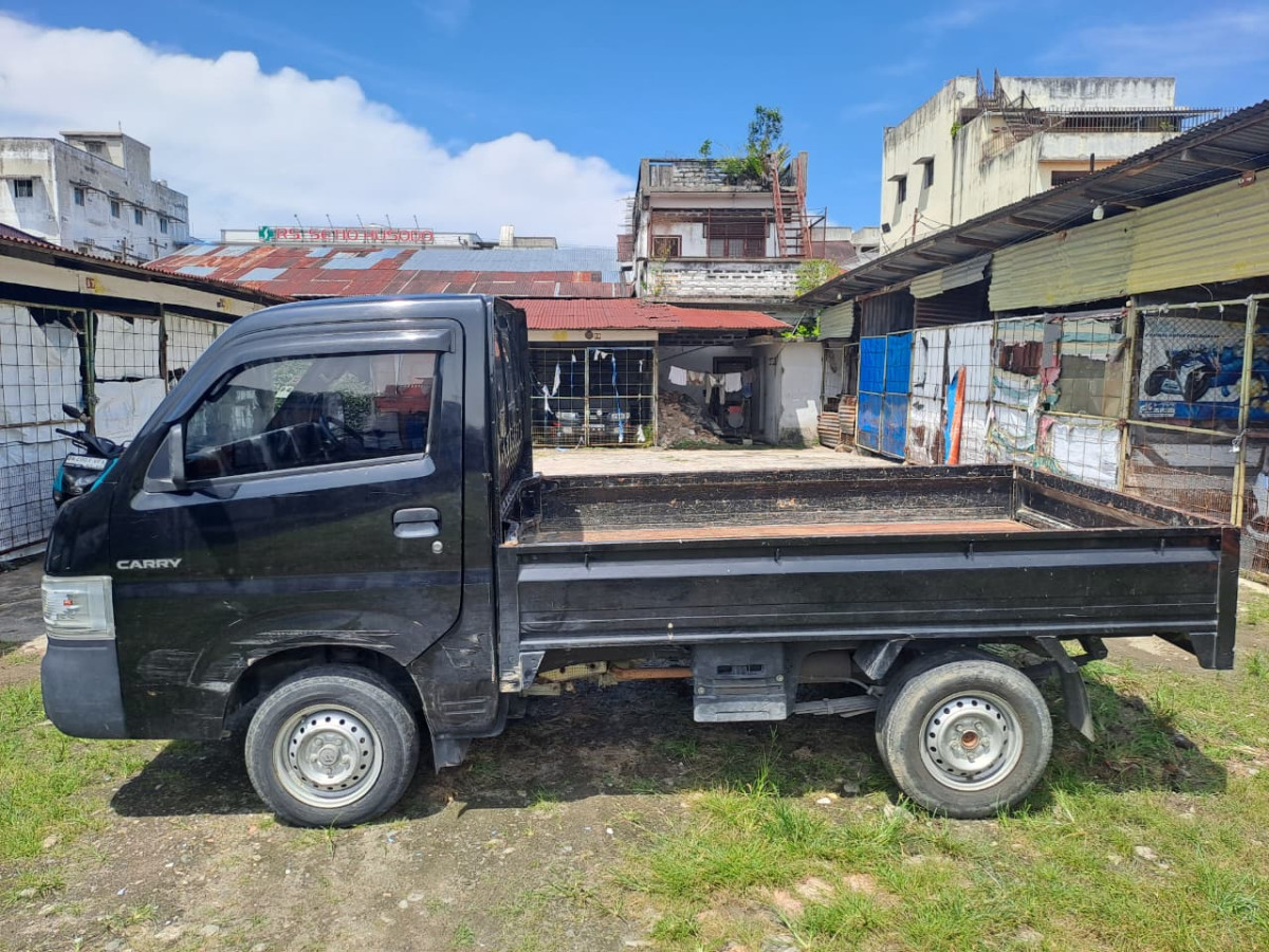 SUZUKI CARRY  PU