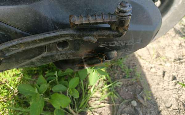 HONDA  GENIO