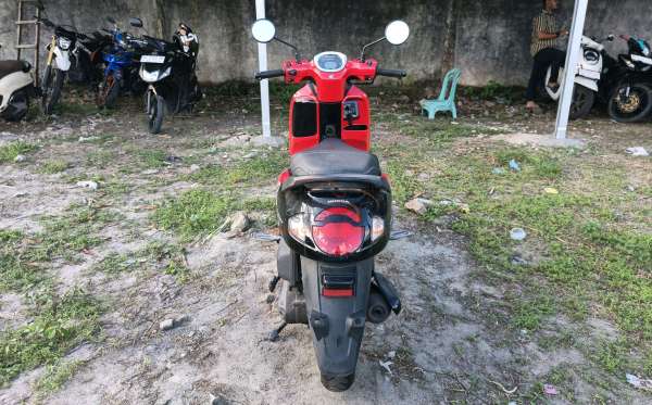 HONDA  SCOOPY