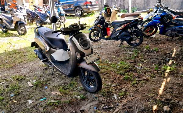 HONDA NEW SCOOPY FASHION